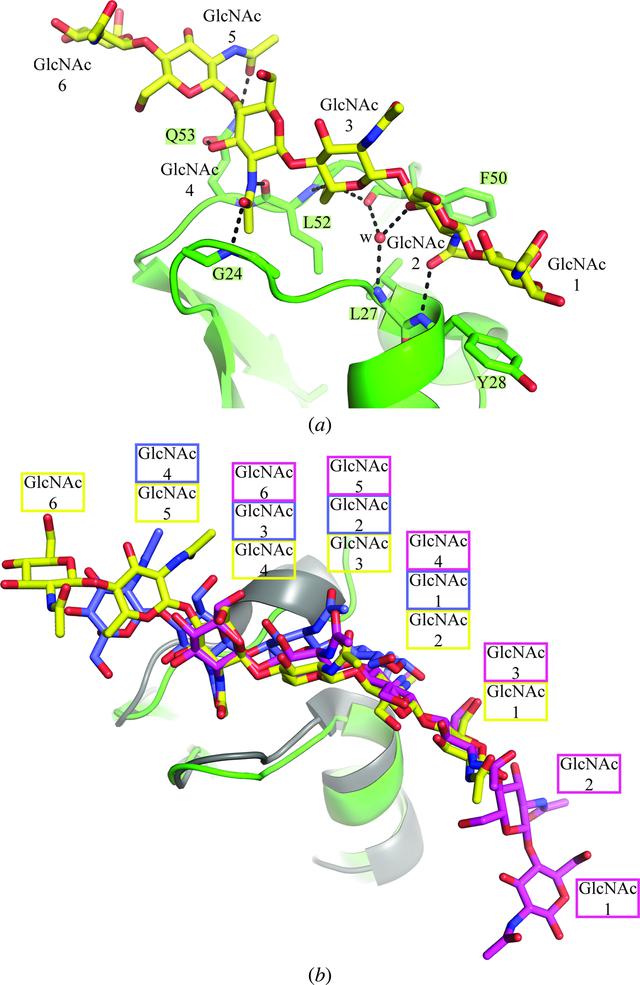 [Figure 7]