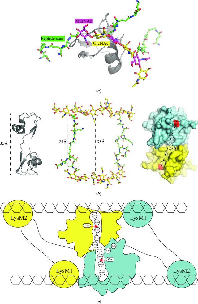 [Figure 9]