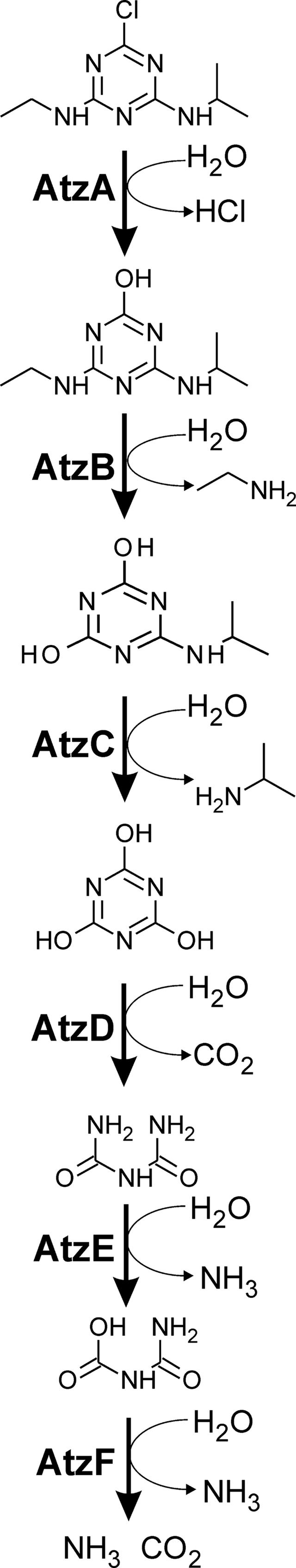 [Figure 1]