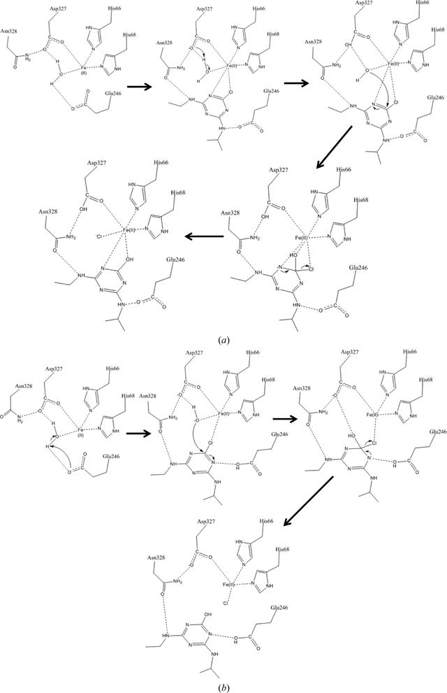 [Figure 8]