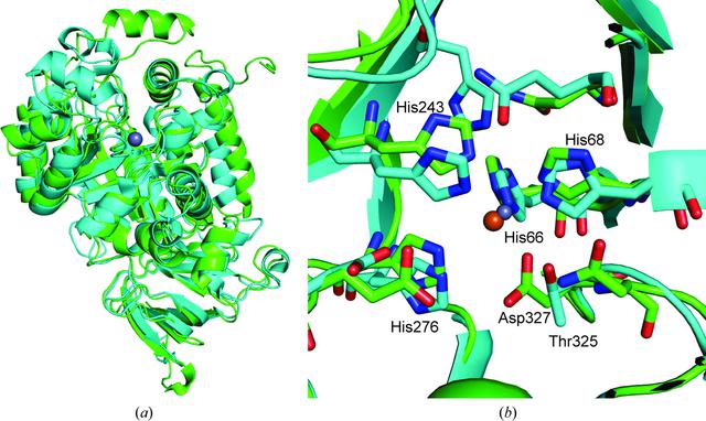 [Figure 9]