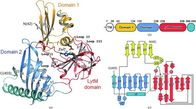 [Figure 1]