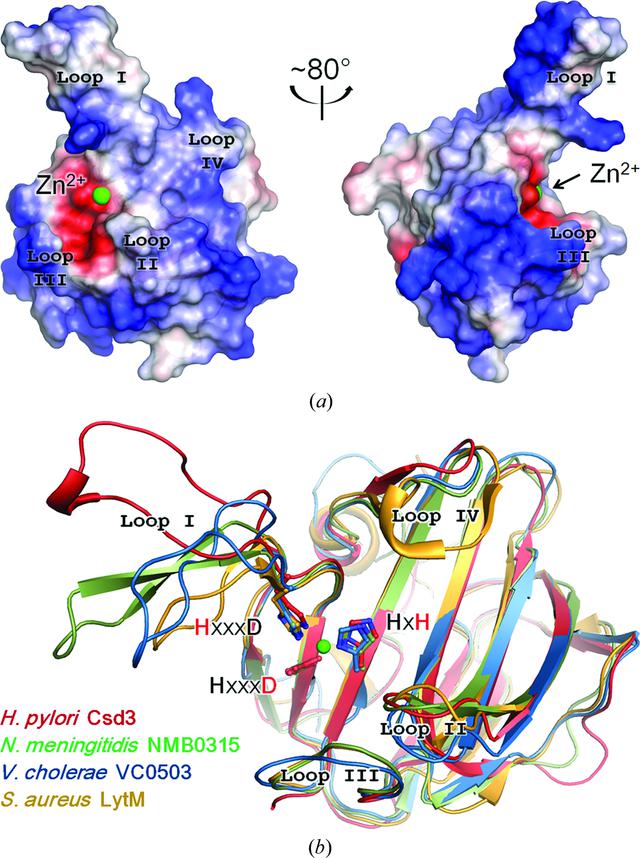 [Figure 4]