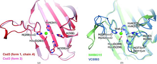 [Figure 5]