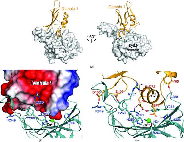 [Figure 6]