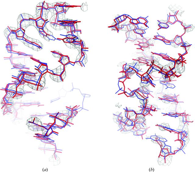 [Figure 6]