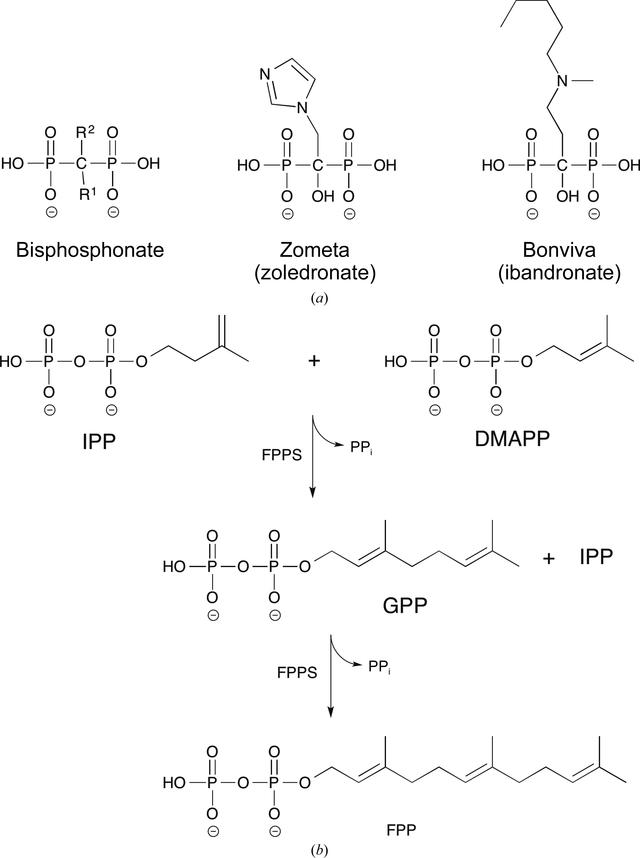 [Figure 1]