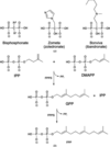 [Figure 1]