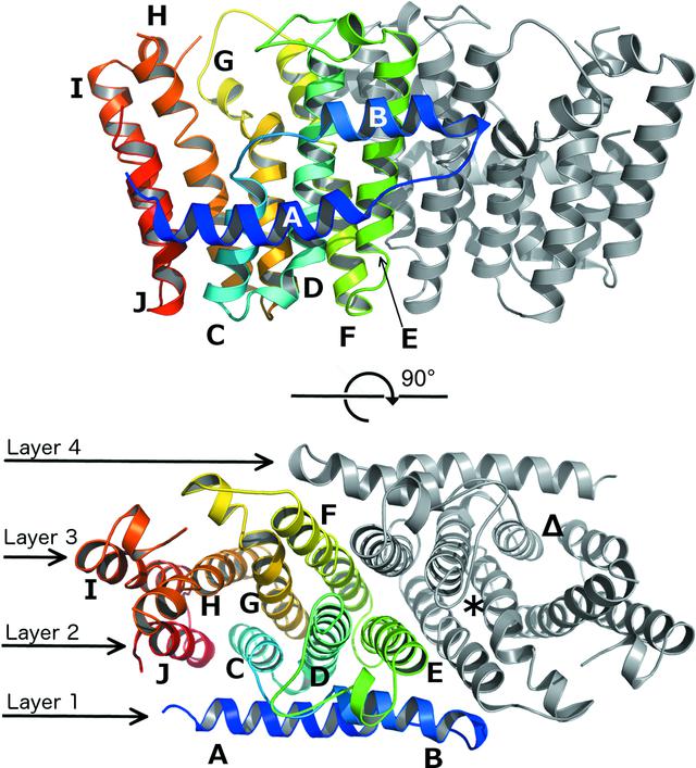 [Figure 3]