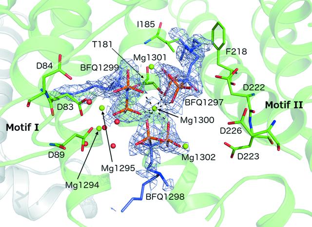 [Figure 5]