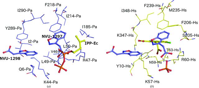 [Figure 7]