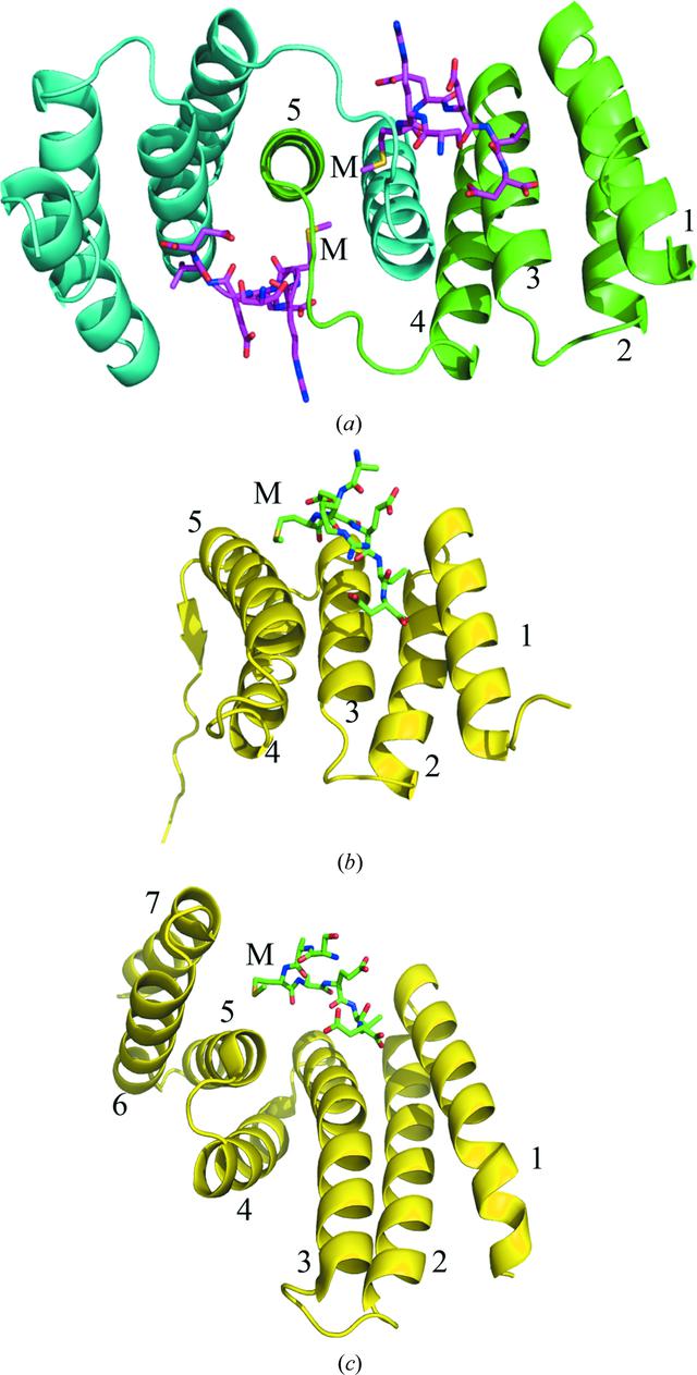 [Figure 1]