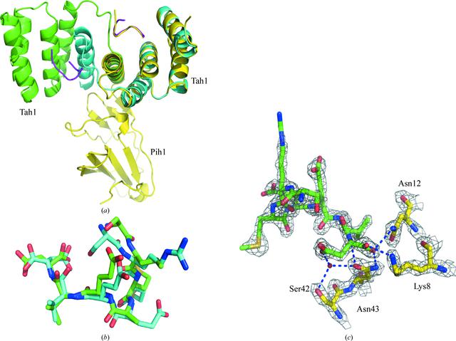 [Figure 4]