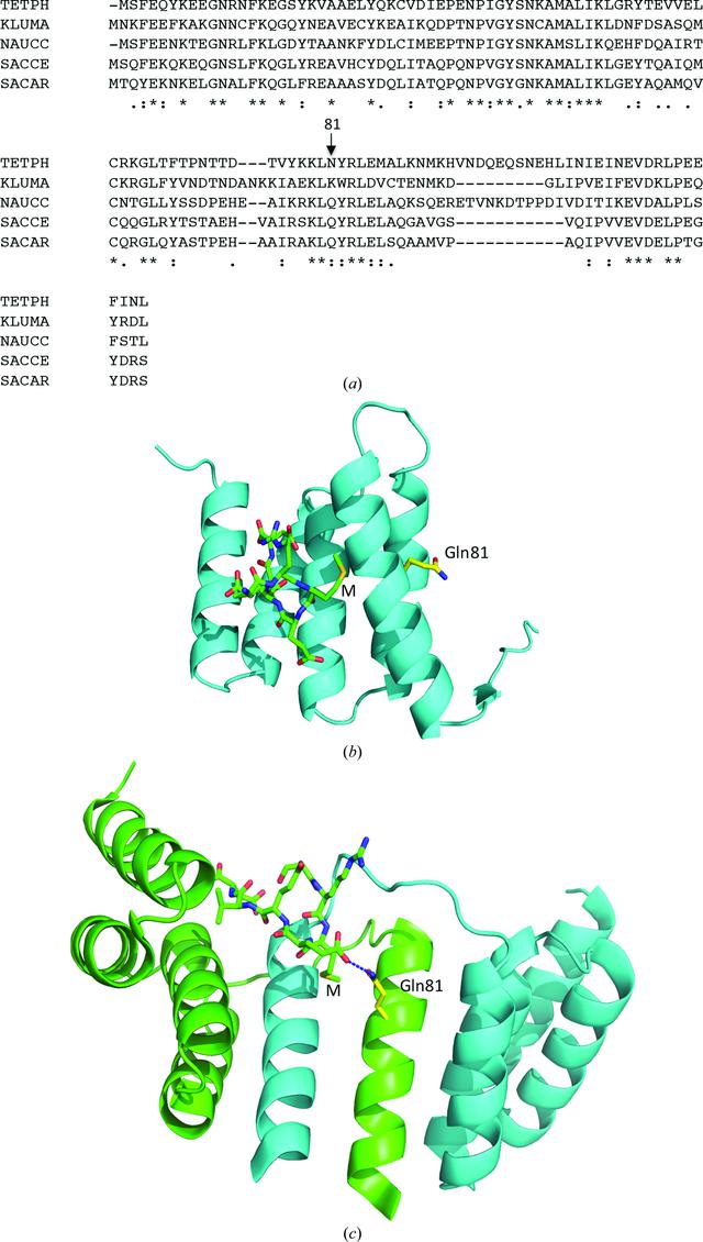 [Figure 5]