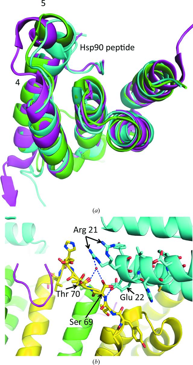 [Figure 6]