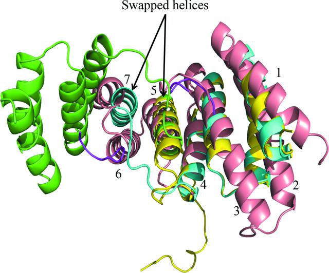 [Figure 8]