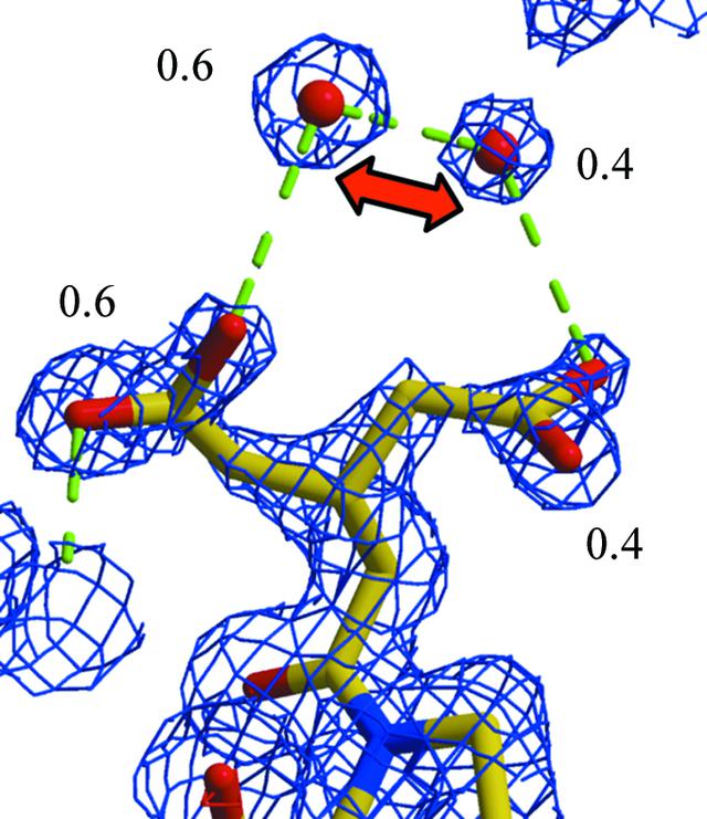 [Figure 7]