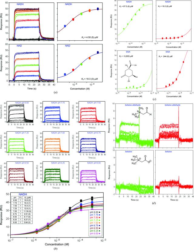 [Figure 2]