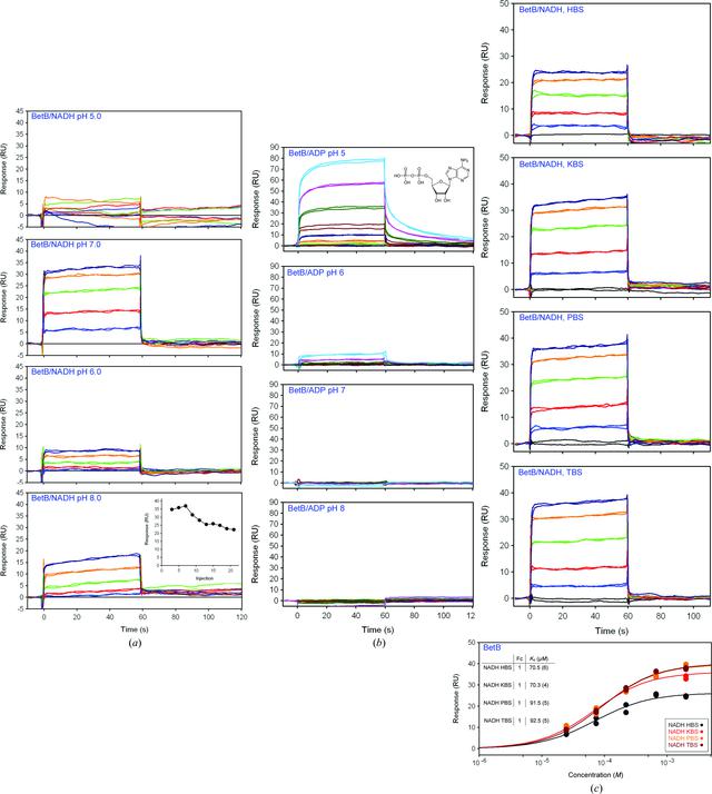 [Figure 3]