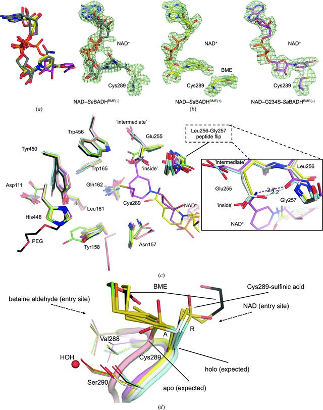 [Figure 5]