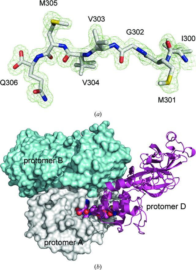 [Figure 2]