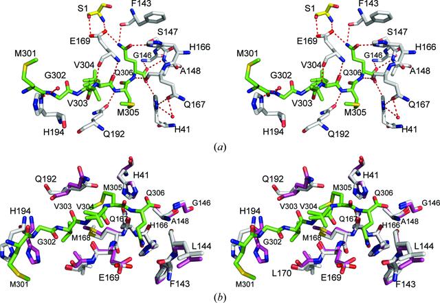 [Figure 5]