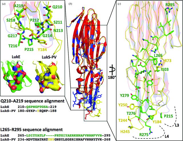 [Figure 3]