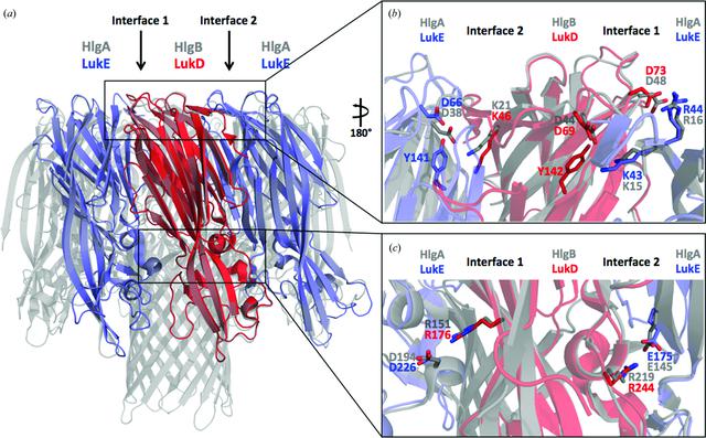 [Figure 5]