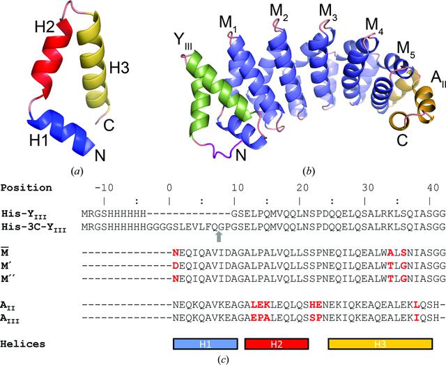 [Figure 1]