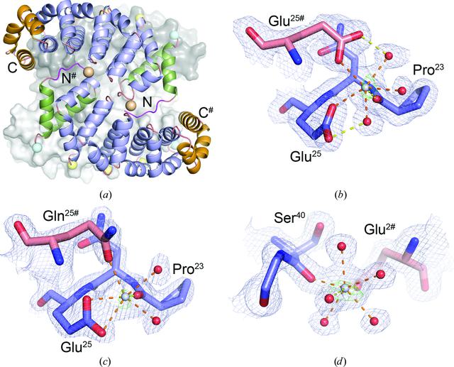 [Figure 2]