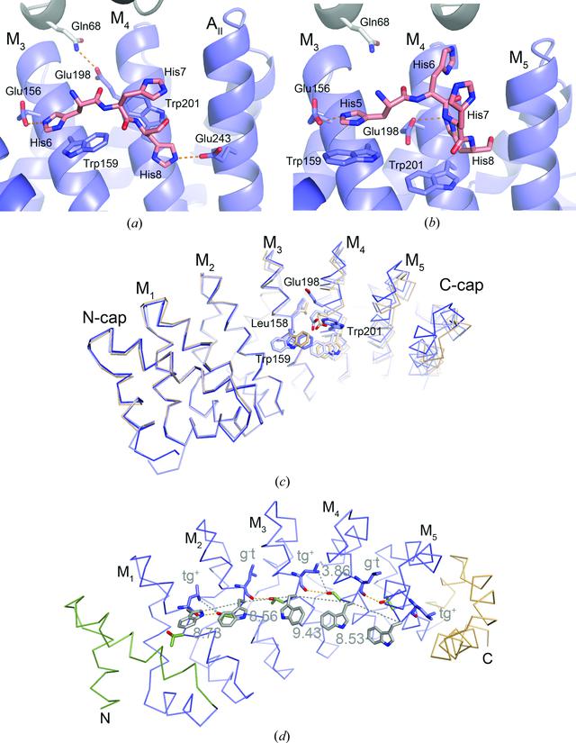 [Figure 3]