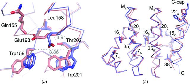 [Figure 4]