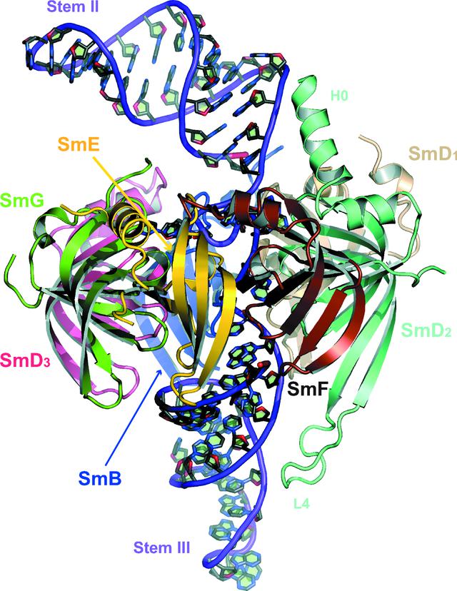 [Figure 3]