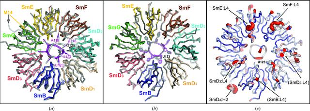 [Figure 4]