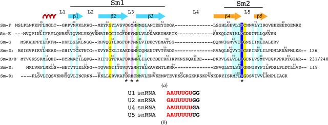 [Figure 6]