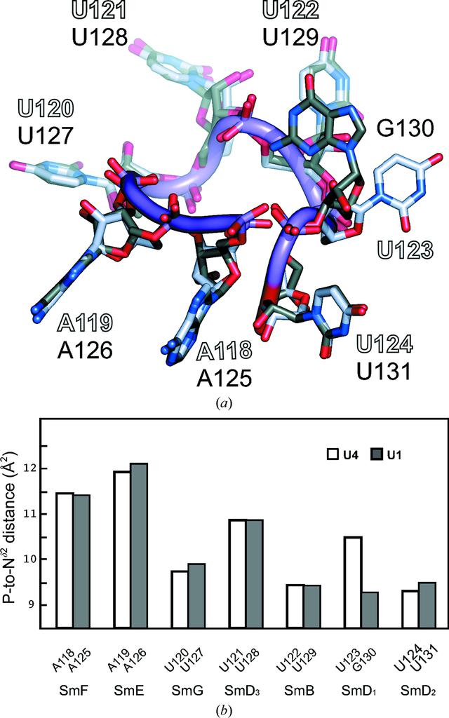 [Figure 9]