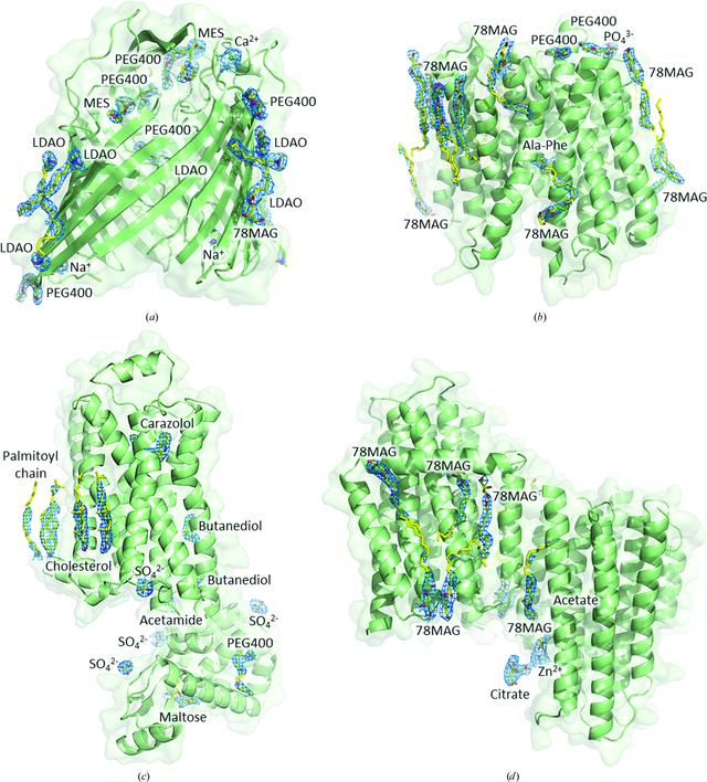 [Figure 3]