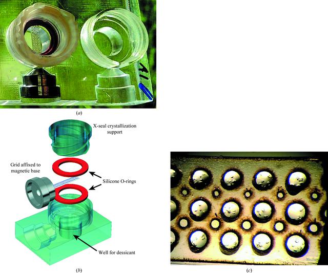 [Figure 3]