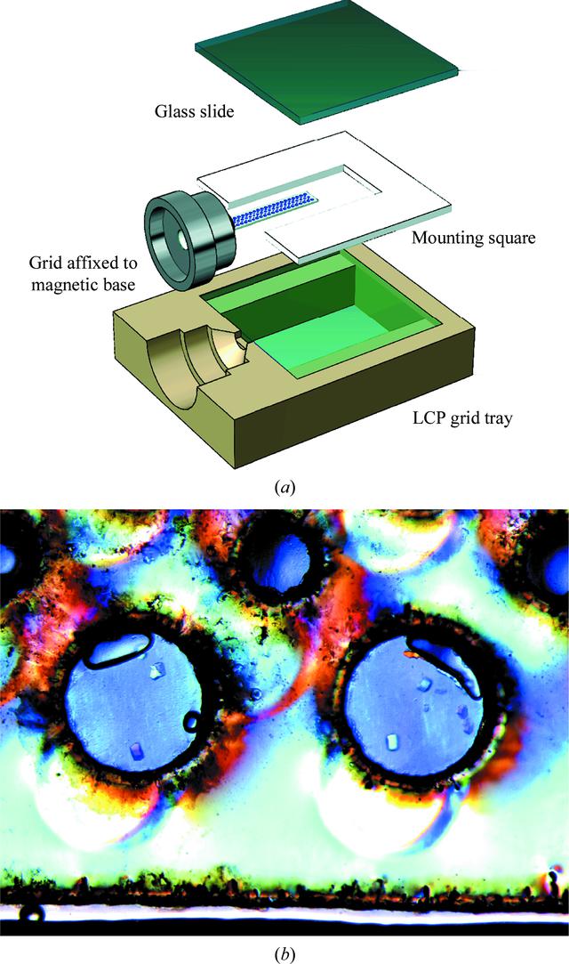 [Figure 4]