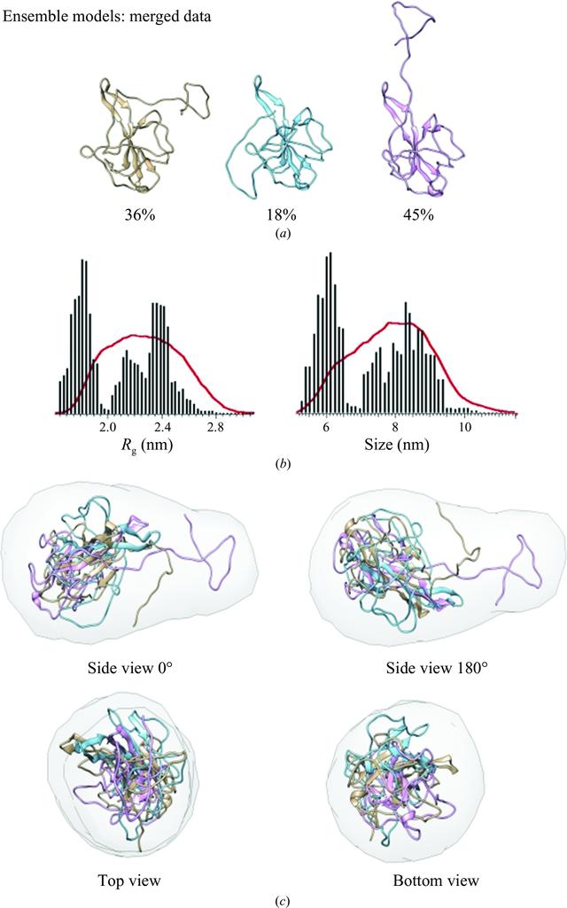 [Figure 10]