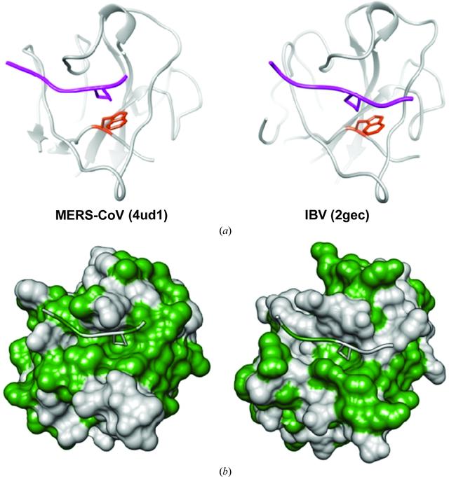 [Figure 5]