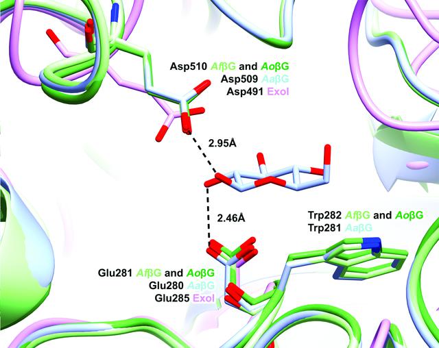 [Figure 2]