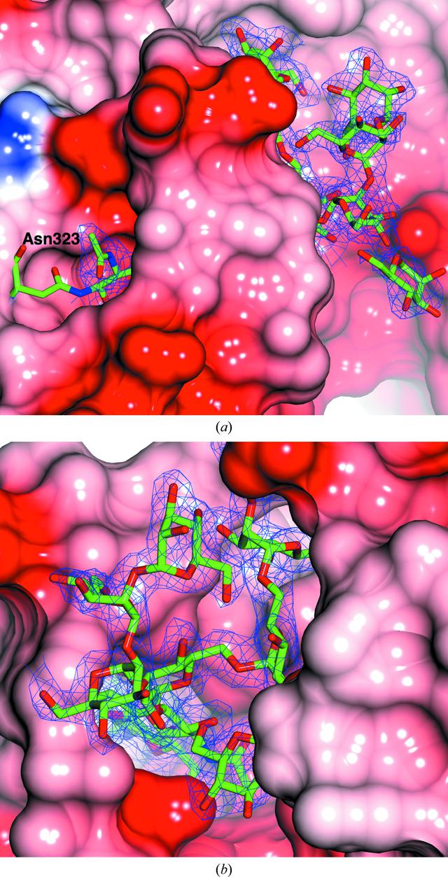 [Figure 3]