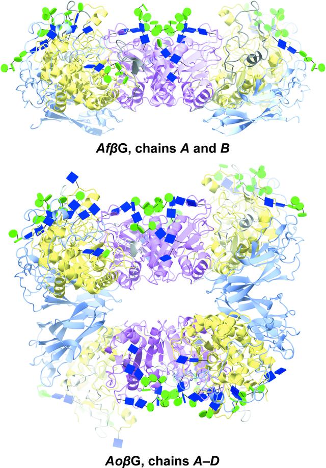 [Figure 4]