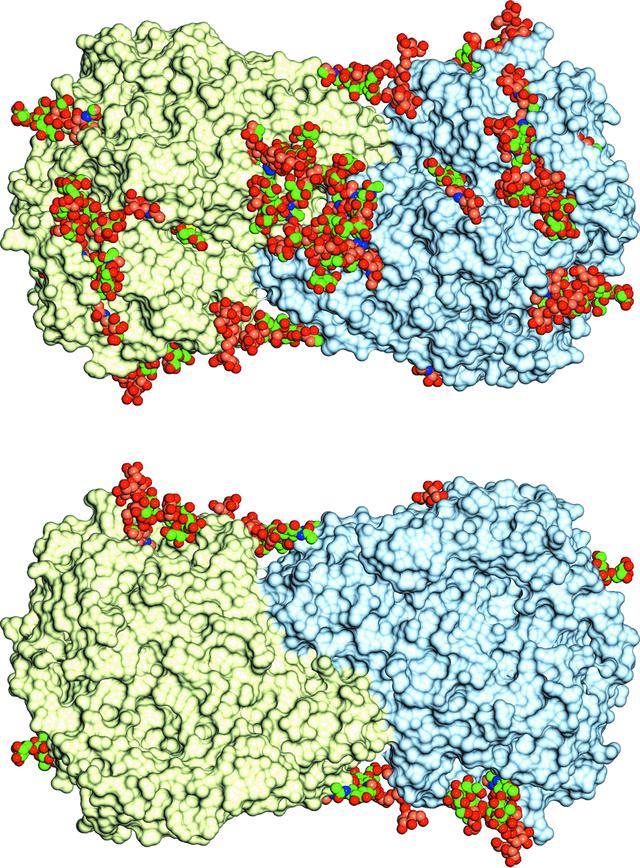 [Figure 5]