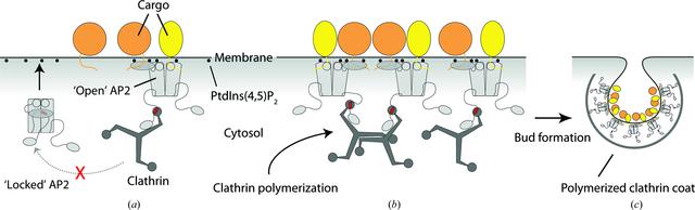 [Figure 7]