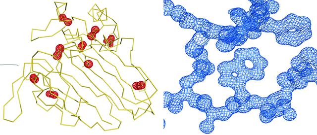 [Figure 7]