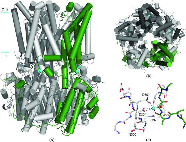 [Figure 1]