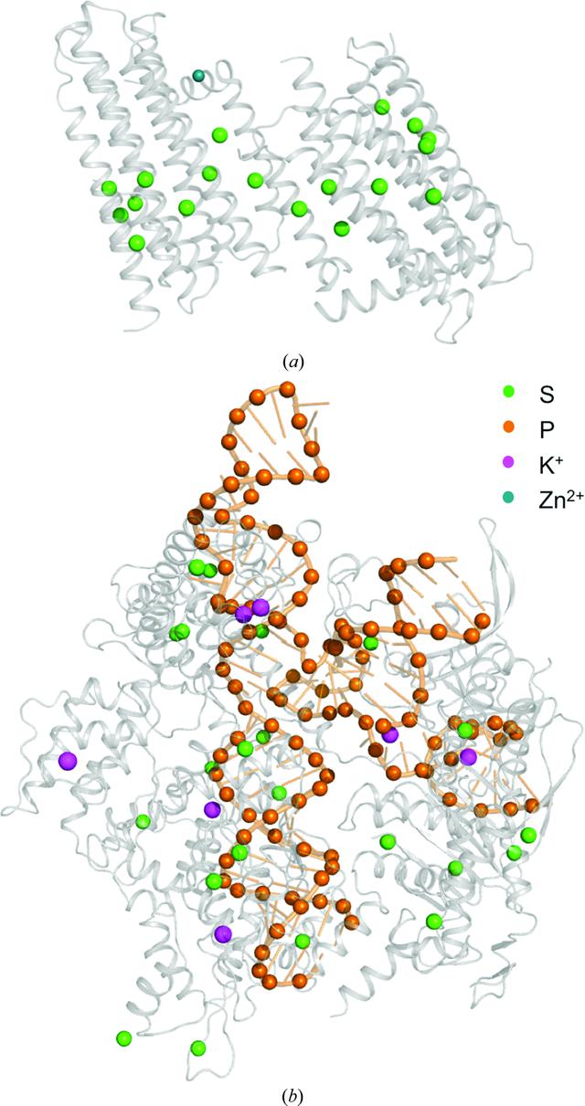 [Figure 1]