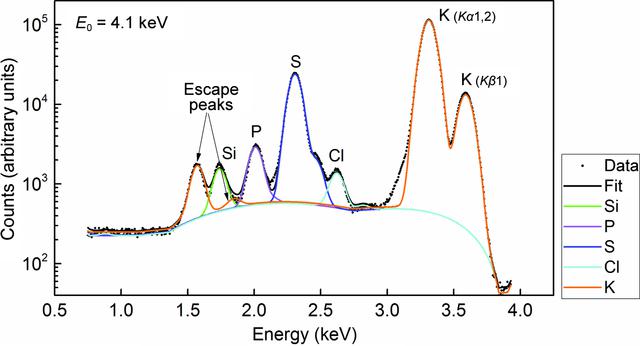 [Figure 5]